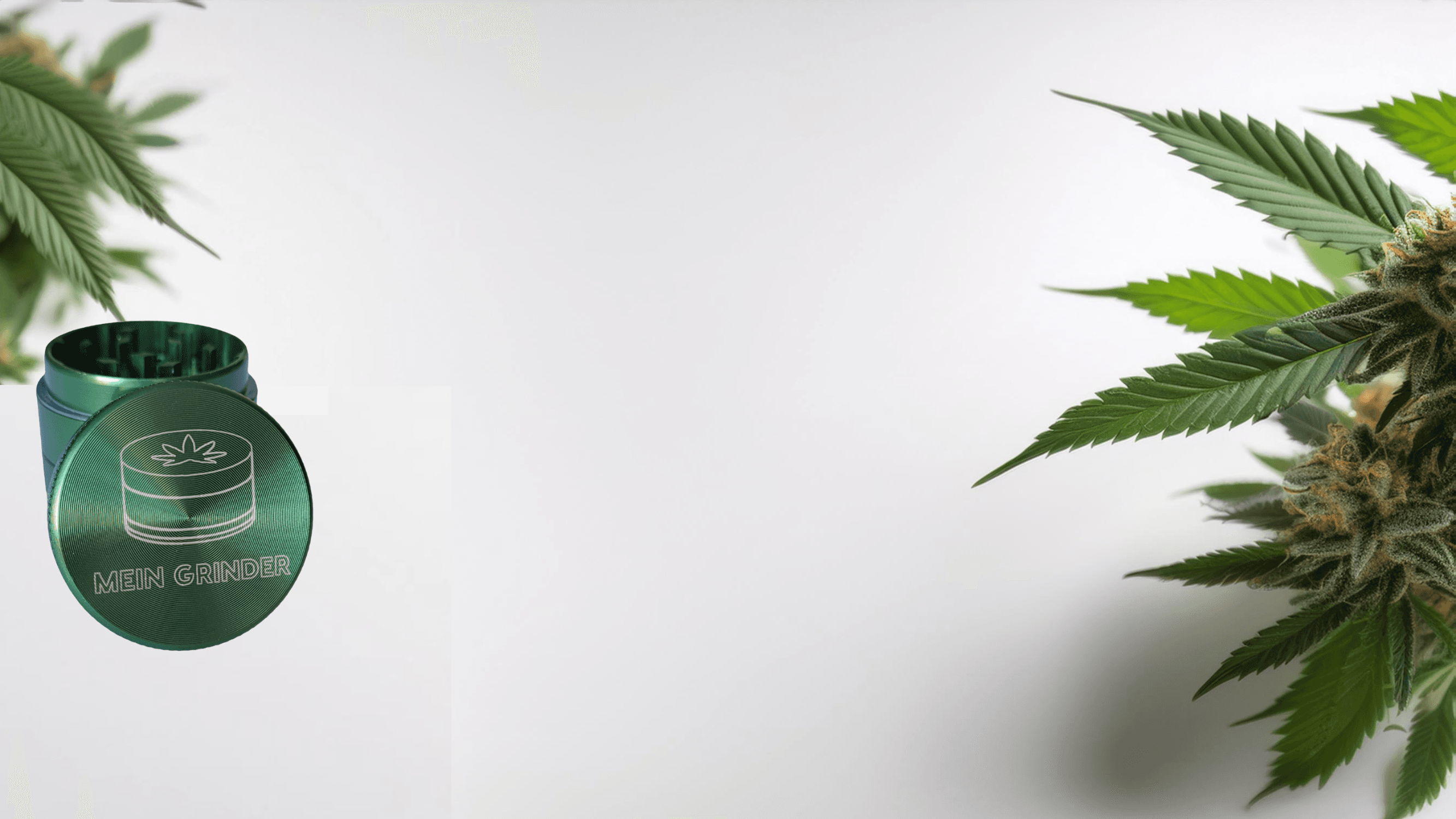 Mein Grinder