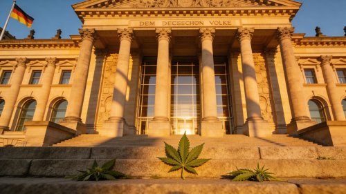 Die Cannabis-Legalisierung in Deutschland: Fortschritt oder Risiko?