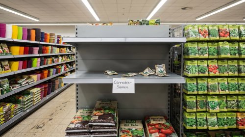 Der Tag, an dem Cannabis im Supermarkt landete und innerhalb von Stunden ausverkauft war